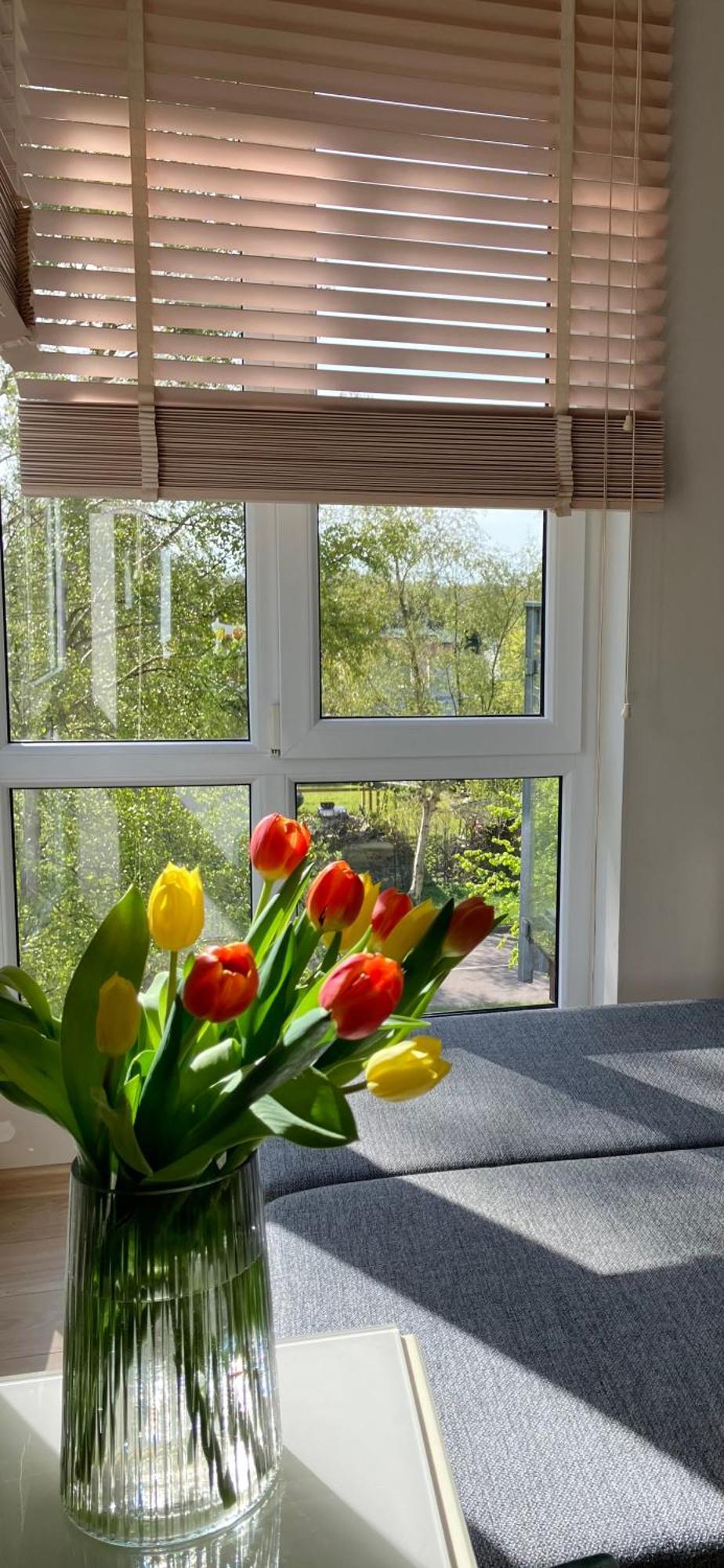 Apartament Vita Polanki Kolobrzeg Dış mekan fotoğraf